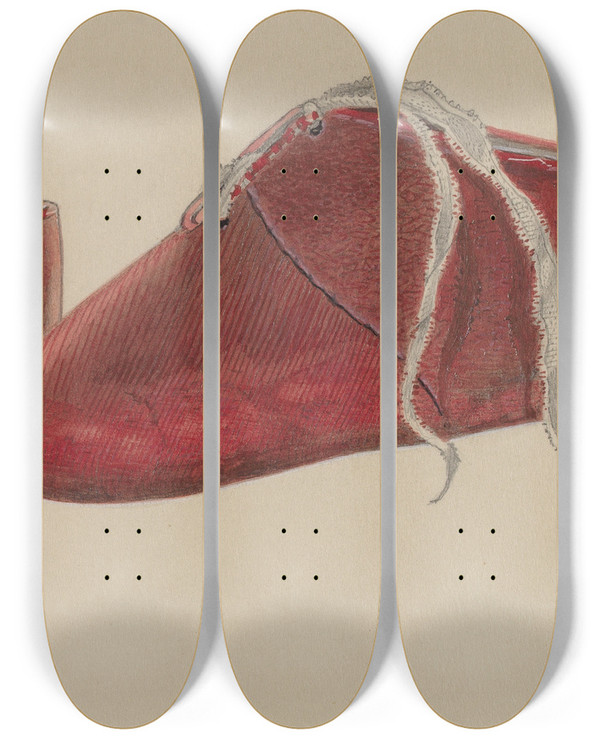 Triptych art skateboard deck of William Frank Babys Shoe by William Frank