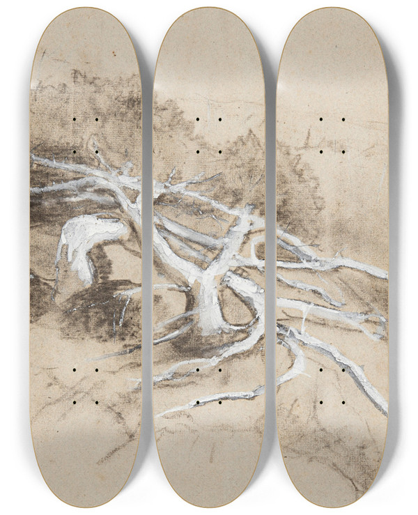 Triptych art skateboard deck of Winslow Homer Tree Roots On A Hillside Prouts Neck by Winslow Homer (1836-1910)