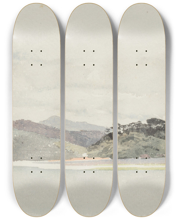 Triptych art skateboard deck of James Crowe Richmond West Wanganui From The South East by James Crowe Richmond (1822-1898)