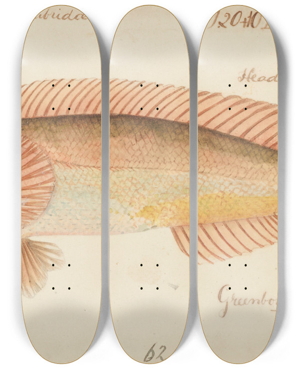 Triptych art skateboard deck of Frank Edward Clarke Unknown Tas by Frank Edward Clarke (1849-1899)