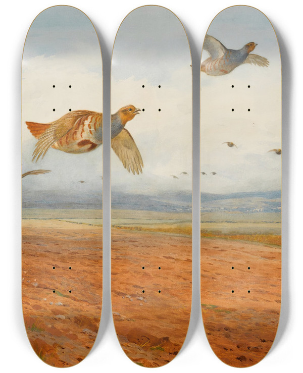 Triptych art skateboard deck of Archibald Thorburn A Covey Of Grey Partridge In Flight by Archibald Thorburn (1860-1935)
