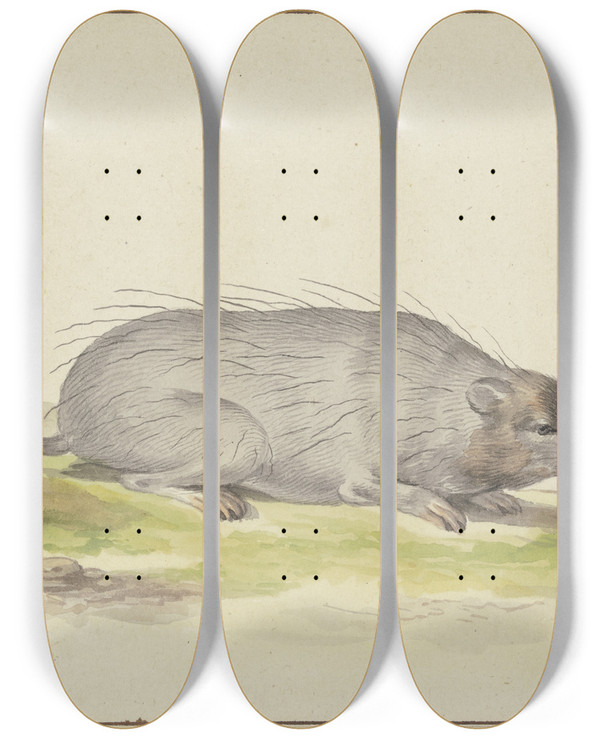 Triptych art skateboard deck of Pieter Holsteijn Mole To The Right by Pieter Holsteijn