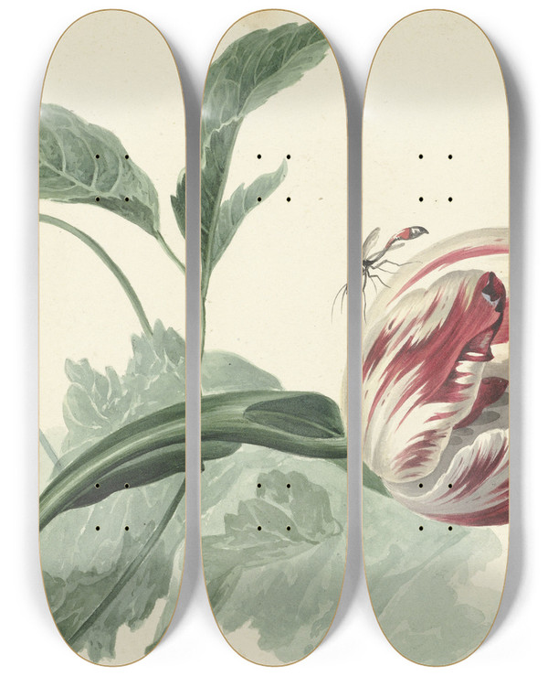 Triptych art skateboard deck of Willem Van Leen Tulip And A Poppy by Willem van Leen (1753-1825)