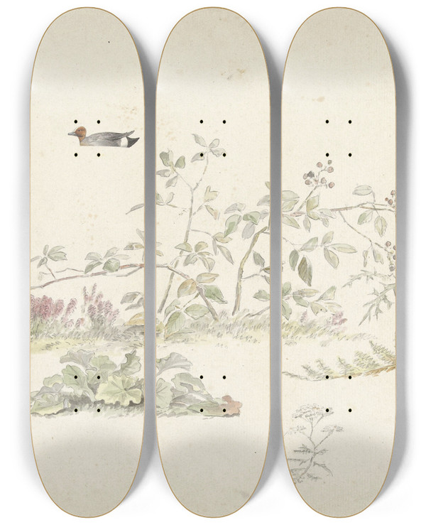 Triptych art skateboard deck of Josephus Augustus Knip Studieblad Met Planten En Watervogels by Josephus Augustus Knip (1777-1847)