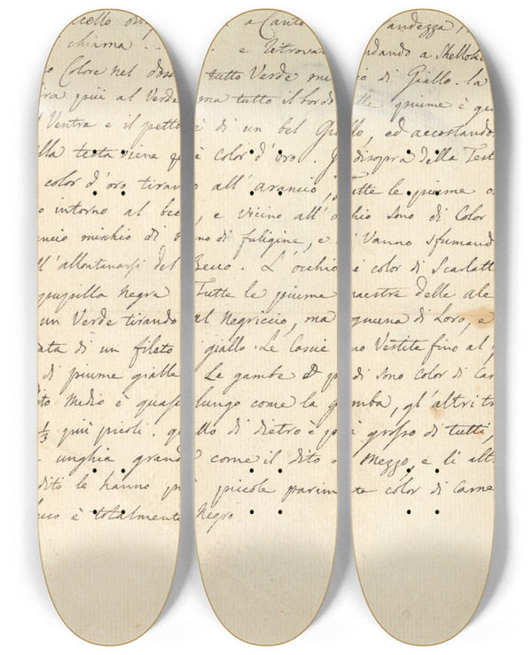 Triptych art skateboard deck of Luigi Balugani Study Of A Bird by Luigi Balugani (1737-1770)