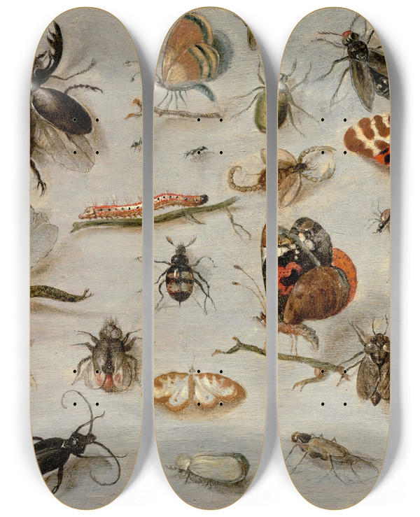 Triptych art skateboard deck of Jan Van Kessel The Elder A Study Of Butterflies Moths Spiders And Insects by Jan Van Kessel The Elder (1626-1679)
