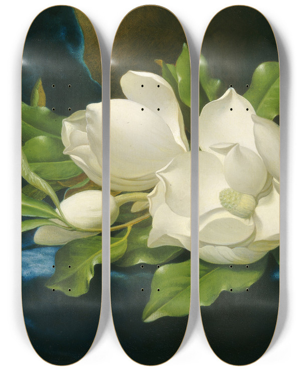 Triptych art skateboard deck of Martin Johnson Heade Giant Magnolias On A Blue Velvet Cloth by Martin Johnson Heade (1819-1904)