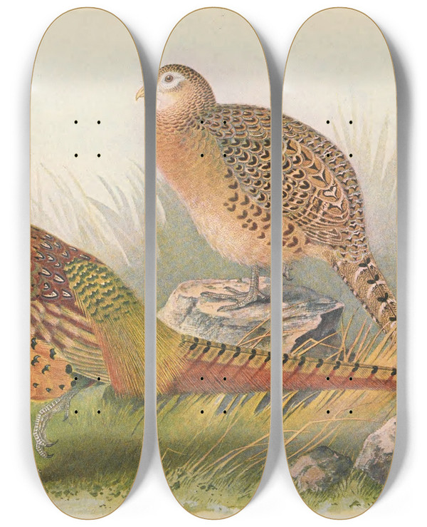 Triptych art skateboard deck of Henry Jones Tarim Pheasant by Henry Jones (1838-1921)