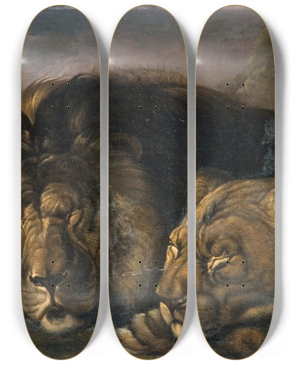 Triptych art skateboard deck of Samuel Raven Sleeping Lion And Lioness by Samuel Raven (1775-1847)