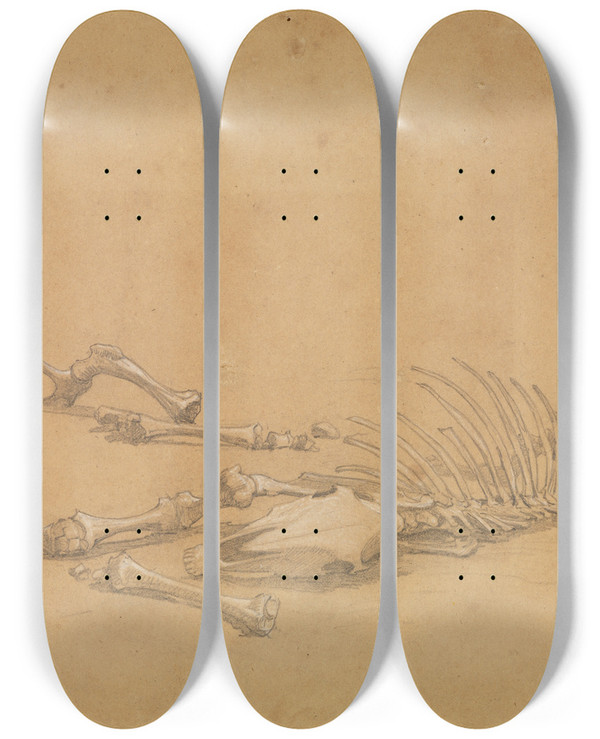 Triptych art skateboard deck of Ferdinand Keller Tierskelett by Ferdinand Keller (1842-1922)