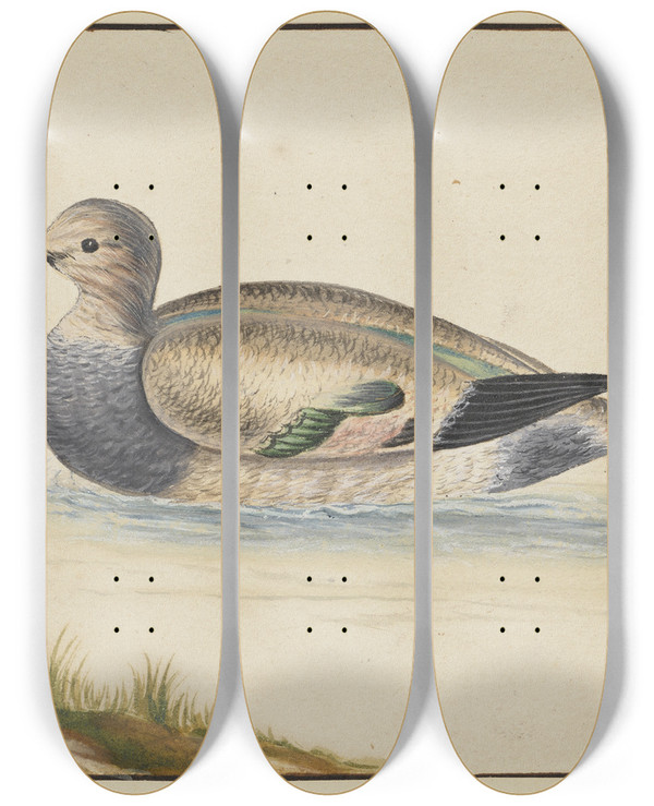 Triptych art skateboard deck of Pieter Holsteijn Duck To The Left by Pieter Holsteijn