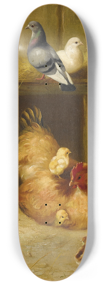 Edgar Hunt - Pigeons And Chicks With Mother Hen 8.25 inch art skate deck