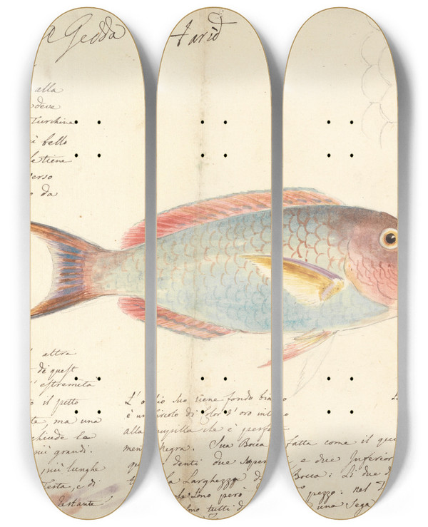 Triptych art skateboard deck of Luigi Balugani Harid by Luigi Balugani (1737-1770)