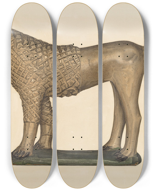 Triptych art skateboard deck of Selma Sandler Poodle by Selma Sandler