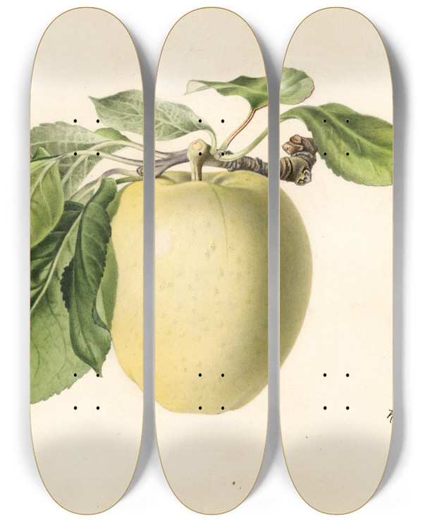 Triptych art skateboard deck of Royal Charles Steadman Malus Domestica Yellow Transparent by Royal Charles Steadman (1875-1964)