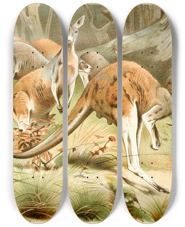 Triptych art skateboard deck of Wilhelm Kuhnert The Red Kangaroo by Wilhelm Kuhnert (1865-1926)