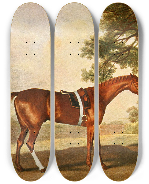 Triptych art skateboard deck of George Stubbs Eclipse by George Stubbs (1724-1806)