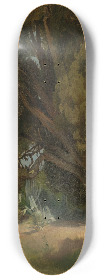 Edmund Kanoldt - Baumstudie aus der Villa dEste in Tivoli 8.25 inch art skate deck