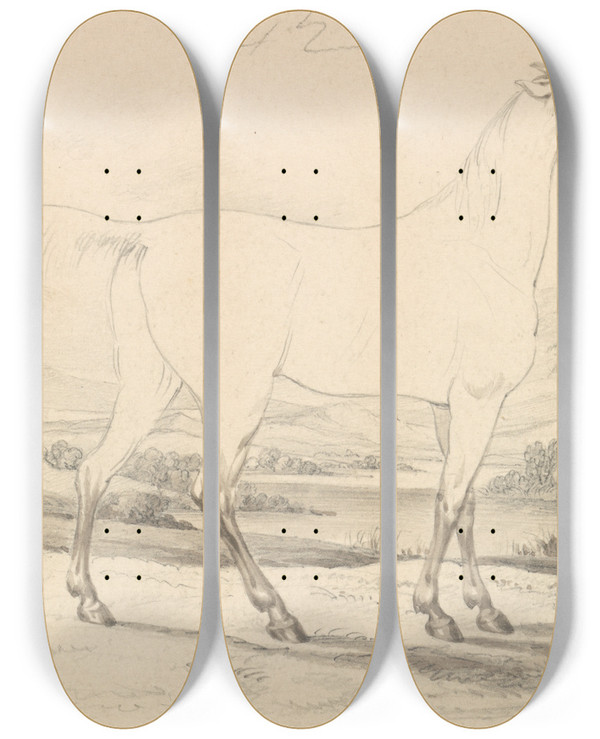 Triptych art skateboard deck of Charles Hamilton Smith Shrubaturreech by Charles Hamilton Smith (1776-1859)