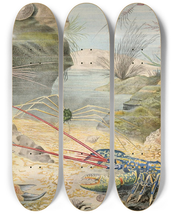 Triptych art skateboard deck of Alfred Frdol Crustacs by Alfred Fredol (1804-1863)