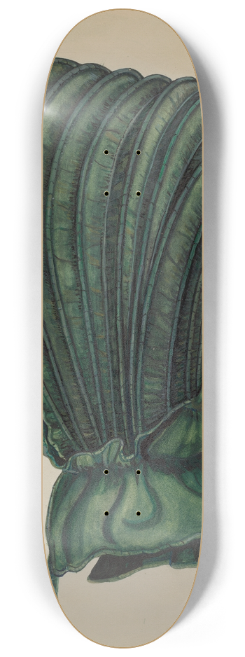 Edna C. Rex - Calash 8.25 inch art skate deck