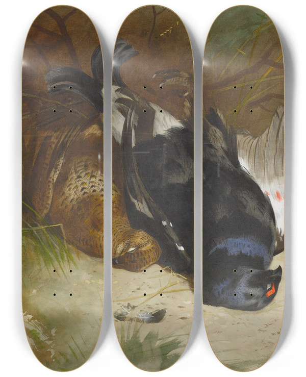 Triptych art skateboard deck of Archibald Thorburn Still Life Of A Pair Of Blackgame by Archibald Thorburn (1860-1935)