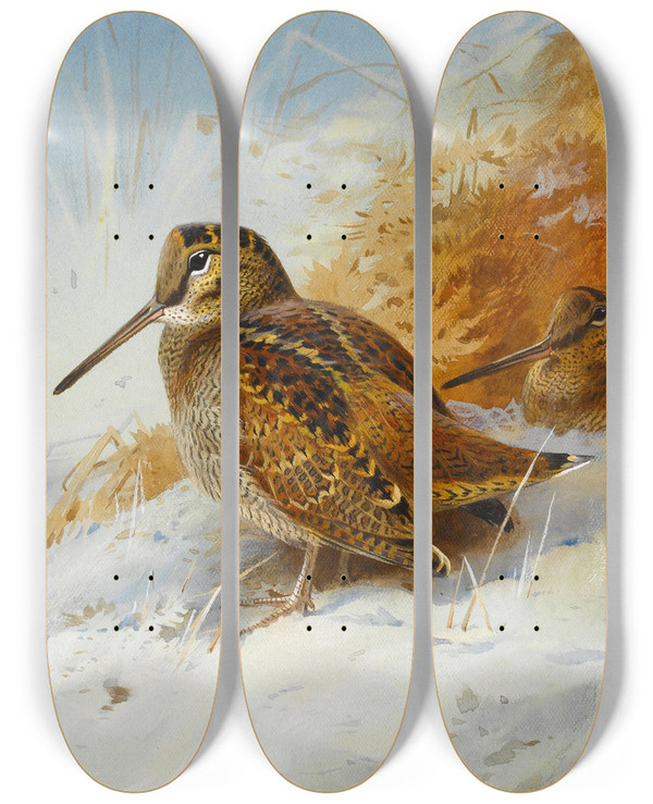 Triptych art skateboard deck of Archibald Thorburn Winter Woodcock by Archibald Thorburn (1860-1935)