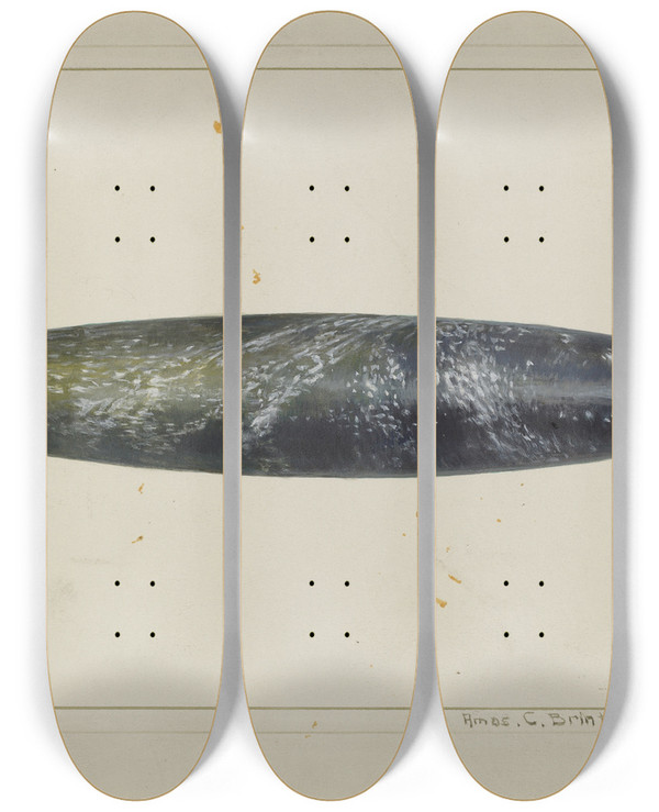 Triptych art skateboard deck of Amos C Brinton Glass Rolling Pin by Amos C Brinton