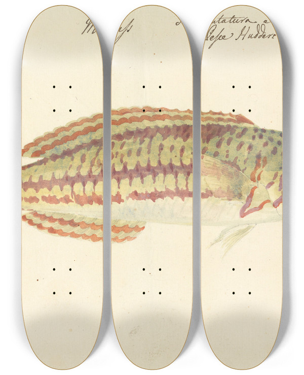 Triptych art skateboard deck of Luigi Balugani Mullup by Luigi Balugani (1737-1770)