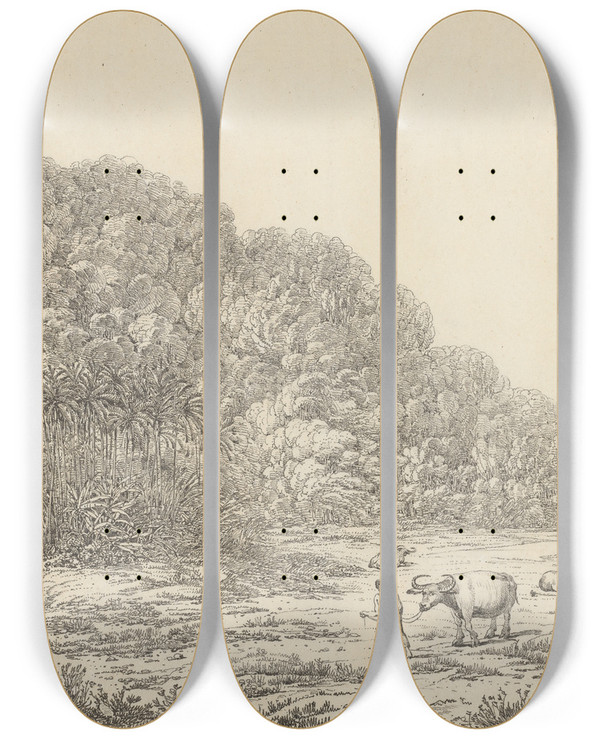 Triptych art skateboard deck of John Webber View In The Island Of Pulo Condore_2 by John Webber (1751-1793)