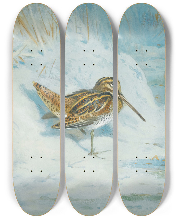Triptych art skateboard deck of Archibald Thorburn Frozen Out Snipe by Archibald Thorburn (1860-1935)