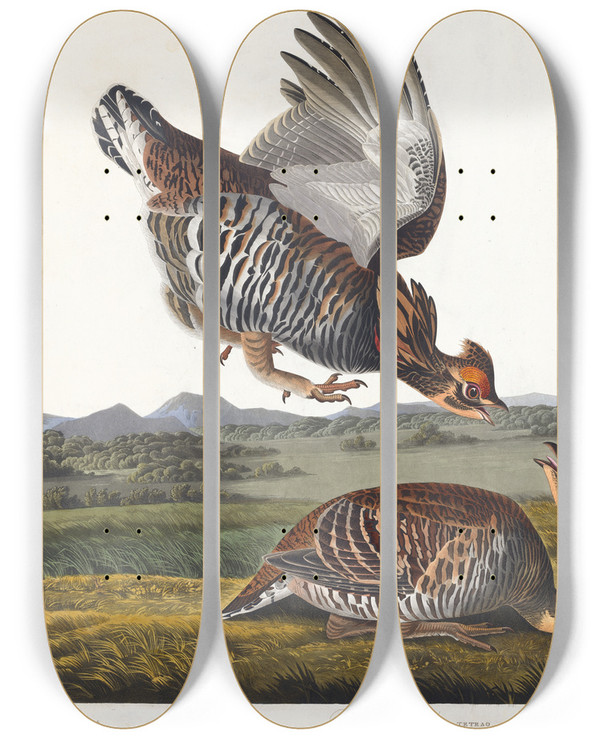 Triptych art skateboard deck of John James Audubon Pinnated Grous by John James Audubon (1785-1851)