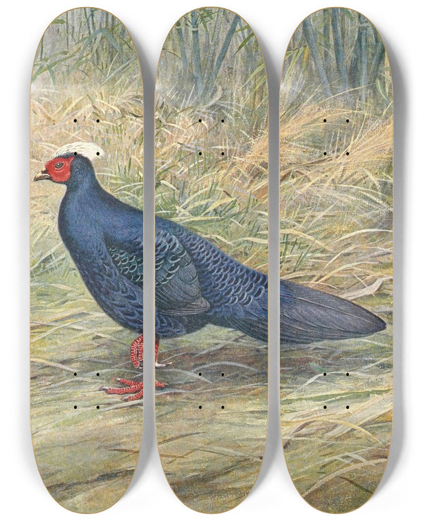 Triptych art skateboard deck of George Edward Lodge Edwards Kaleege by George Edward Lodge (1860-1954)