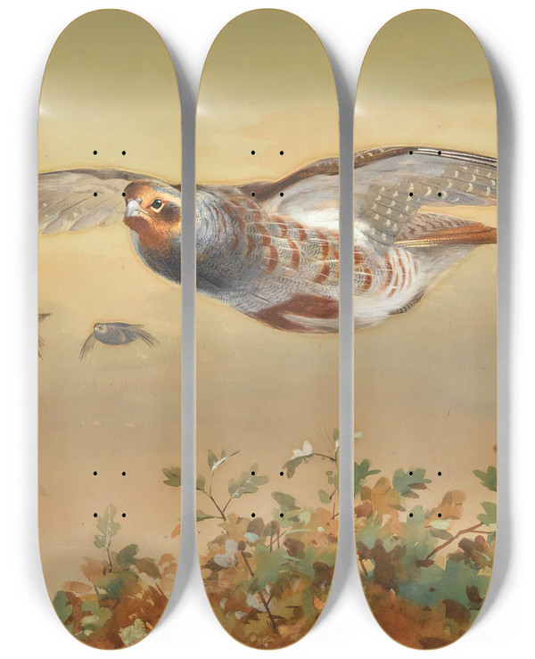 Triptych art skateboard deck of Archibald Thorburn Partridge In Flight by Archibald Thorburn (1860-1935)