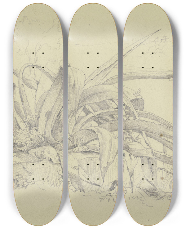 Triptych art skateboard deck of Carl Morgenstern Pflanzenstudie Agave Aus Der Villa Poniatofski by Carl Morgenstern (1811-1893)