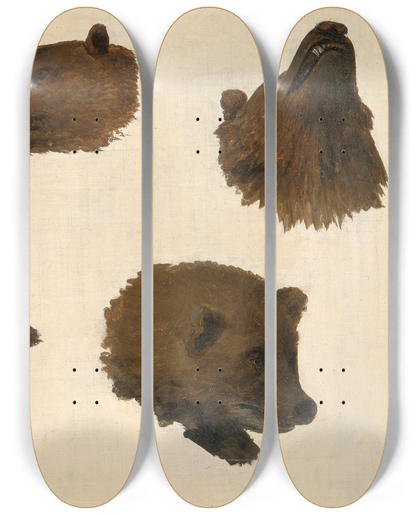 Triptych art skateboard deck of George Catlin Portraits Of Two Grizzly Bears From Life by George Catlin (1796-1872)