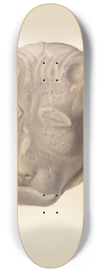 Edward DiGennero - Lions Head (one of pair) 8.25 inch art skate deck