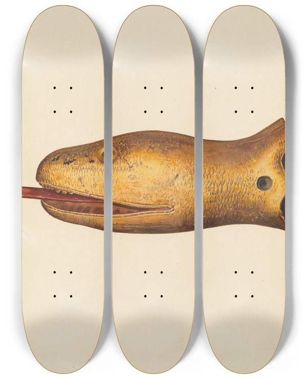 Triptych art skateboard deck of Hazel Hyde Figurehead From The Diadem by Hazel Hyde
