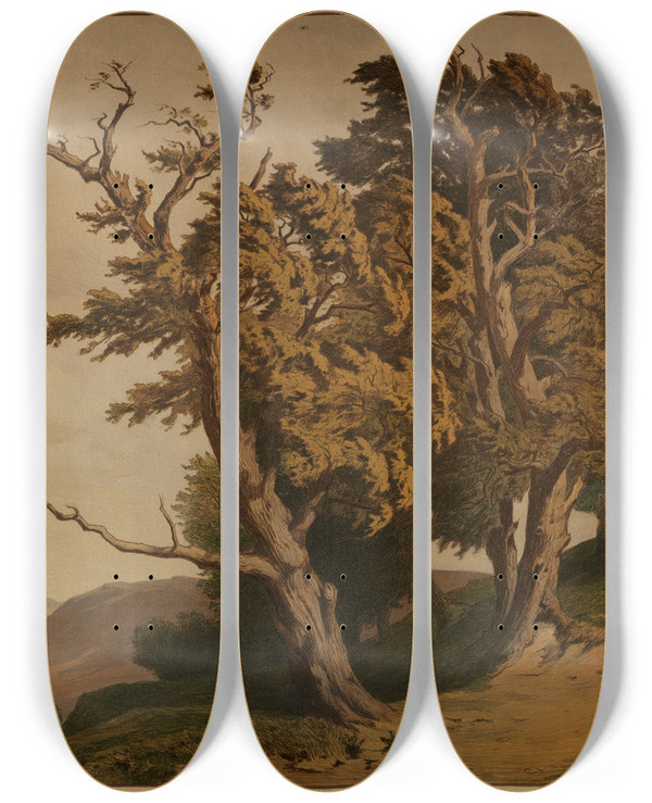 Triptych art skateboard deck of Edmund Kanoldt Eichen by Edmund Kanoldt (1845-1904)