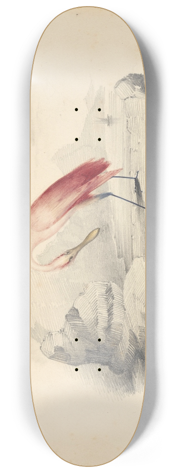 Edward Lear - A flamingo 8.25 inch art skate deck