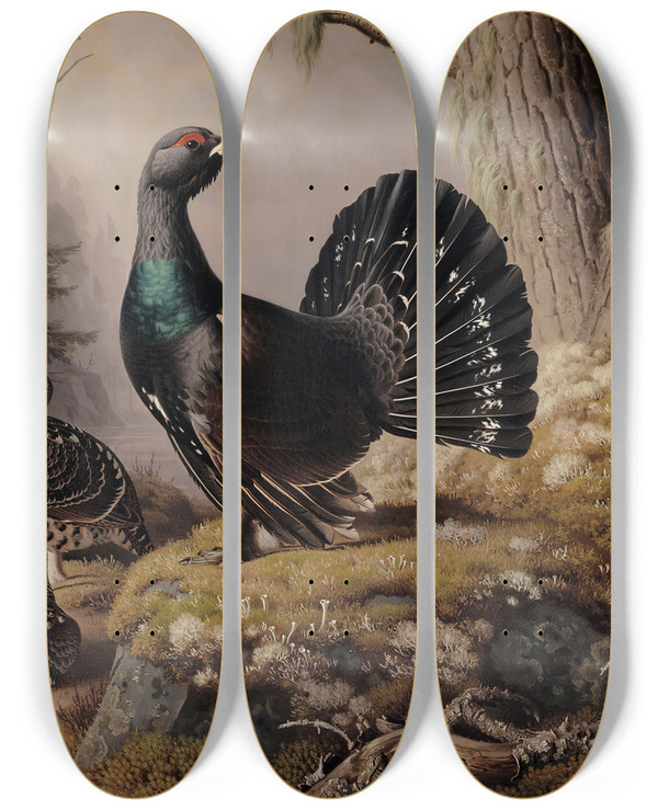 Triptych art skateboard deck of Ferdinand Von Wright Capercaillies Courting by Ferdinand von Wright (1822-1906)