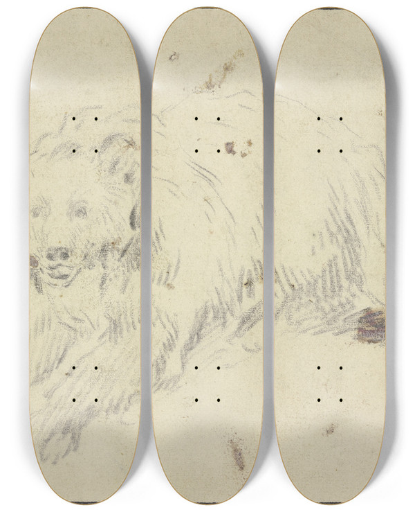 Triptych art skateboard deck of Johann Melchior Roos Lying Bear To The Left by Johann Melchior Roos (1663-1731)