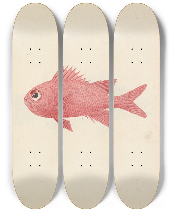 Triptych art skateboard deck of Luigi Balugani Unidentified Fish_4 by Luigi Balugani (1737-1770)