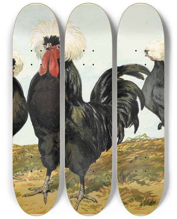 Triptych art skateboard deck of Harrison Weir White Crested Black Polish by Harrison Weir (1824-1906)