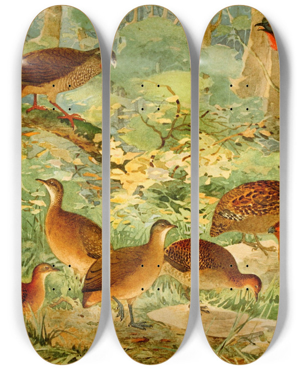 Triptych art skateboard deck of Emil August Gldi Jacu Aracu Inhambs Diversos Sururina Ur Capoeira by Emil August Goldi (1859-1917)