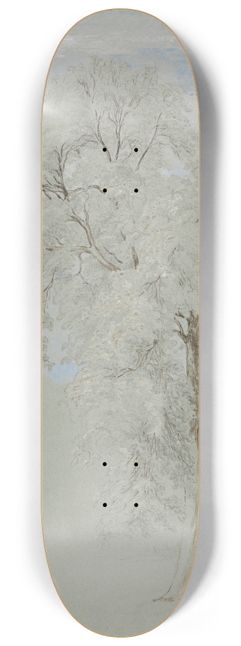 Edward Swinburne - Ash Tree 8.25 inch art skate deck