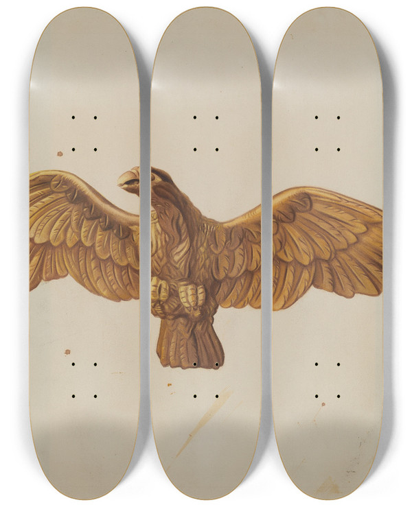 Triptych art skateboard deck of Ethel Clarke Eagle by Ethel Clarke