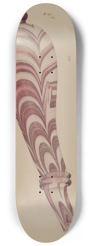 Edward White - Powder Horn 8.25 inch art skate deck