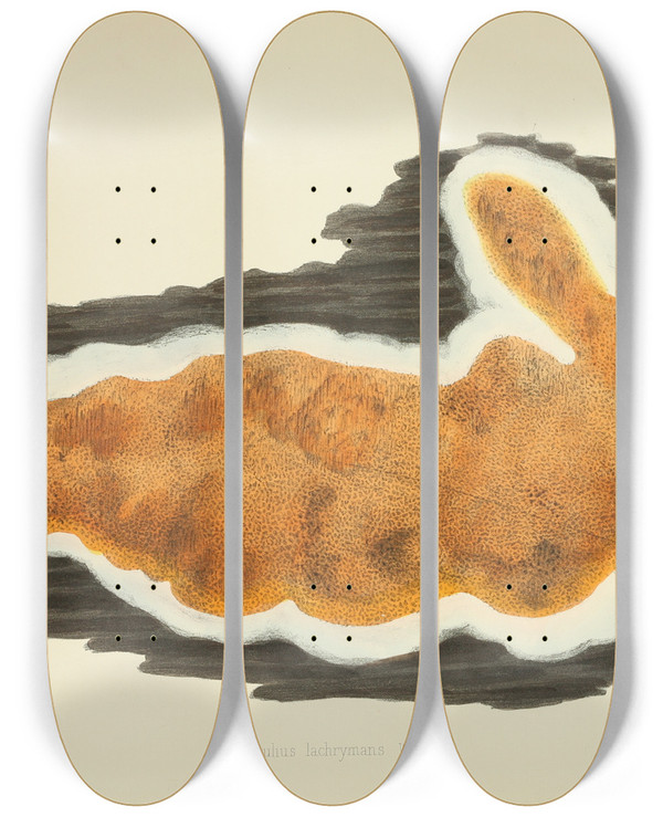 Triptych art skateboard deck of Anna Maria Hussey Illustrations Of British Mycology Pl03 by Anna Maria Hussey (1805-1853)