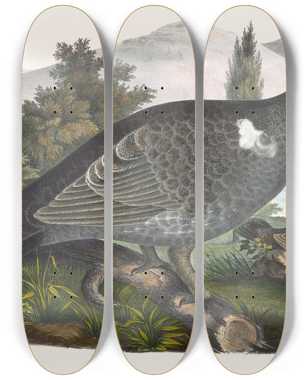 Triptych art skateboard deck of Daniel Giraud Elliot Richardsons Grouse by Daniel Giraud Elliot (1835-1915)